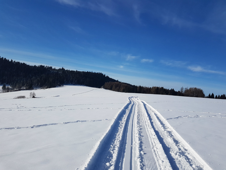 Bežkárske trate Pieniny a Spiš